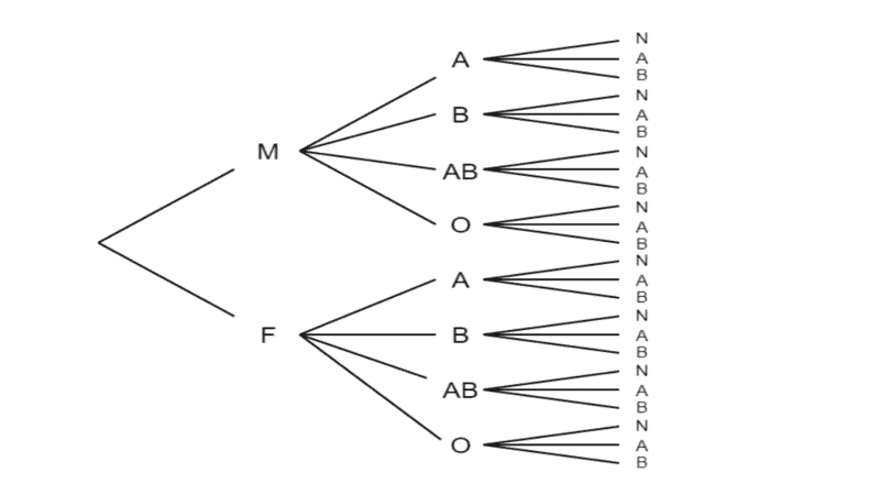 diagrama arbol