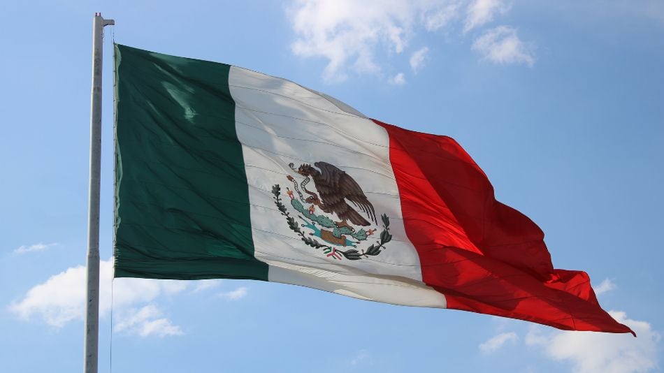 ¿Qué formas de gobierno existen y cuál se emplea en México?
