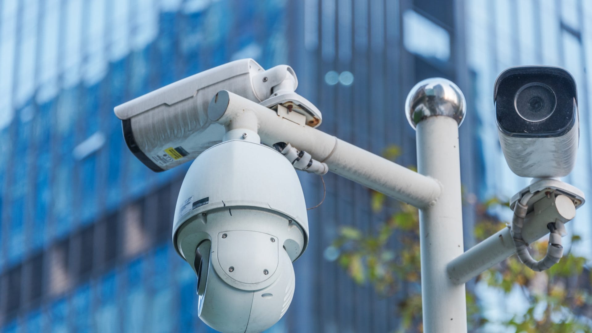 Maestria en Seguridad Publica