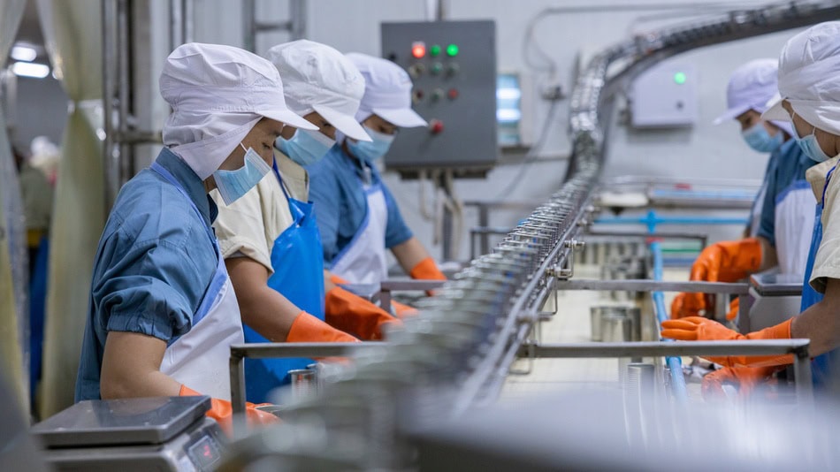 ¿Qué garantiza que tu comida no esté contaminada? La inocuidad alimentaria