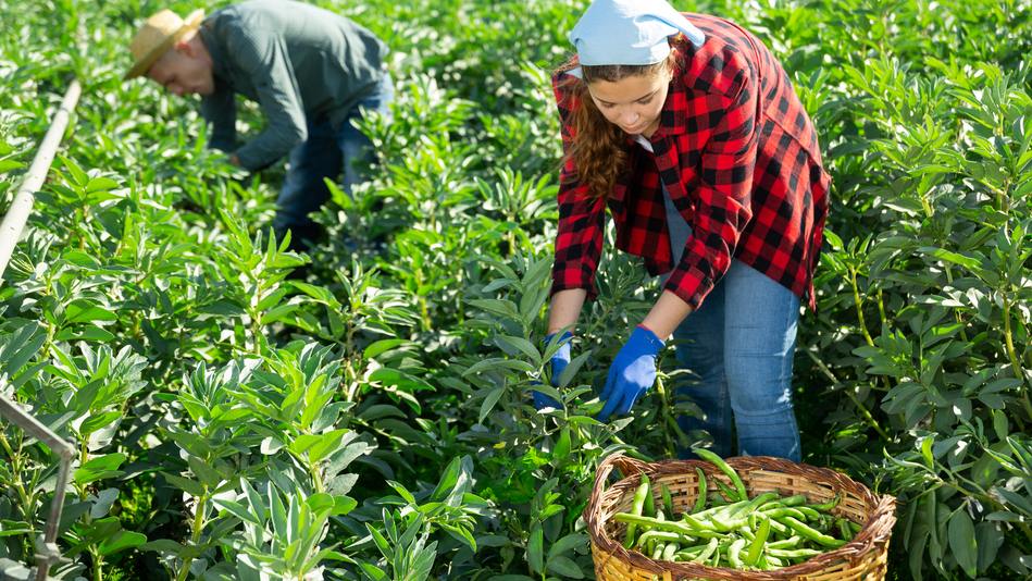 La seguridad alimentaria en México ha sido un problema a lo largo de la historia del país
