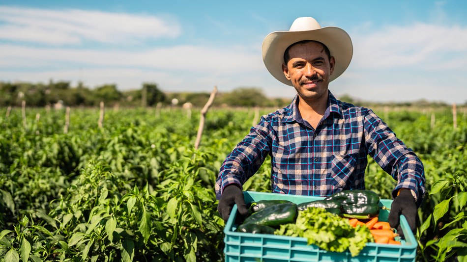 El derecho a la alimentación es un derecho humano reconocido por el derecho internacional
