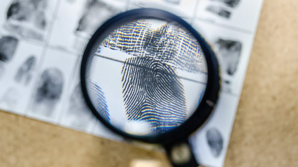 La evidencia son todos los datos, hechos, testimonios o documentos que sustentan una afirmación, teoría o decisión