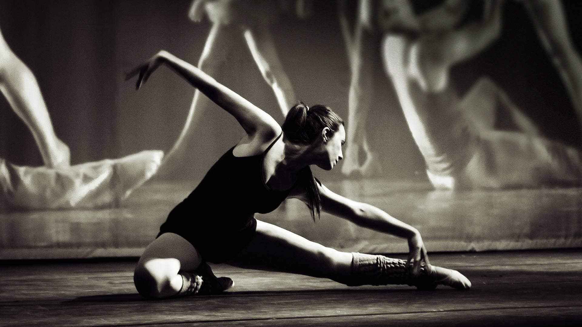 Maestria en Estudios sobre Danza
