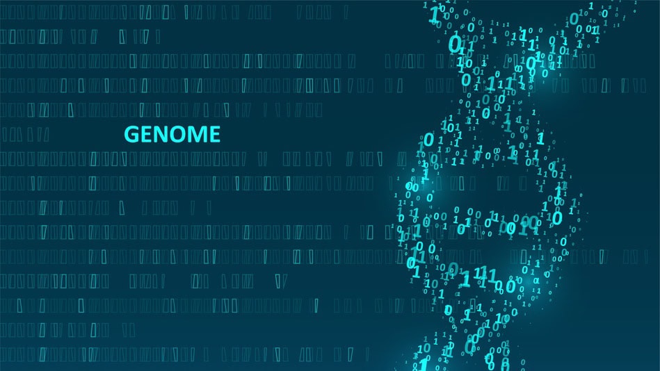 Un genomic data scientist es la disciplina que combina programación, estadística y biología para analizar el ADN, el ARN