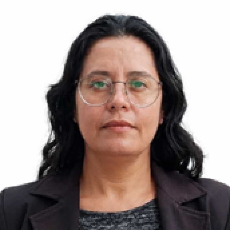 Adriana Cervantes Castillo, Docente UNIR