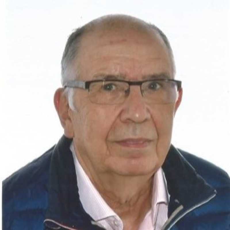Alejandro Rocamora Bonilla, Experto asociado