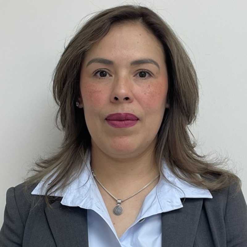 Ana Beatriz Medina Ruiz, Coordinadora académica