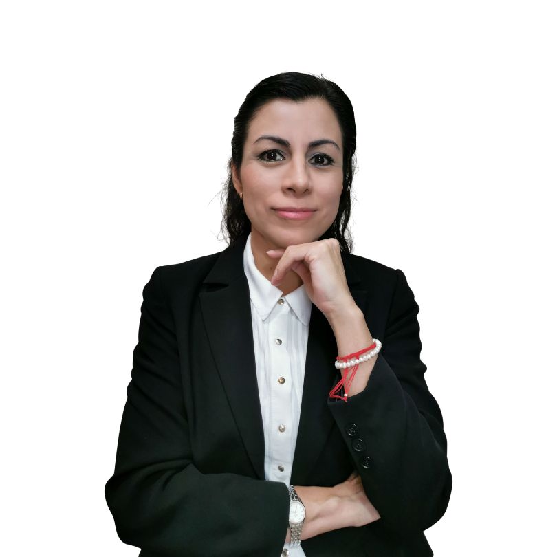 Ana Laura Morales Garcia, Coordinador Académico