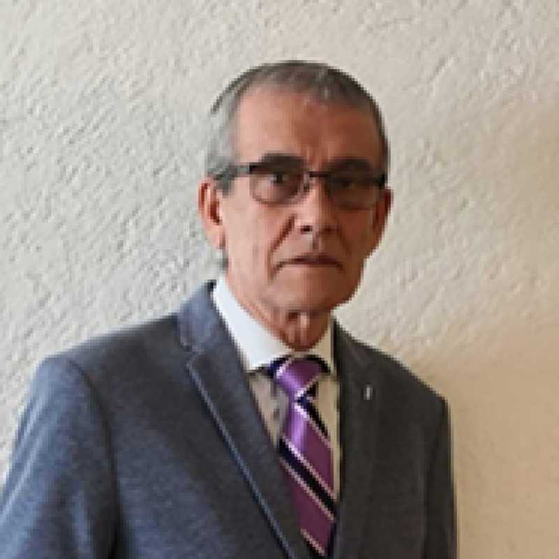 Bárbaro Jorge Ferro Castro, Docente UNIR