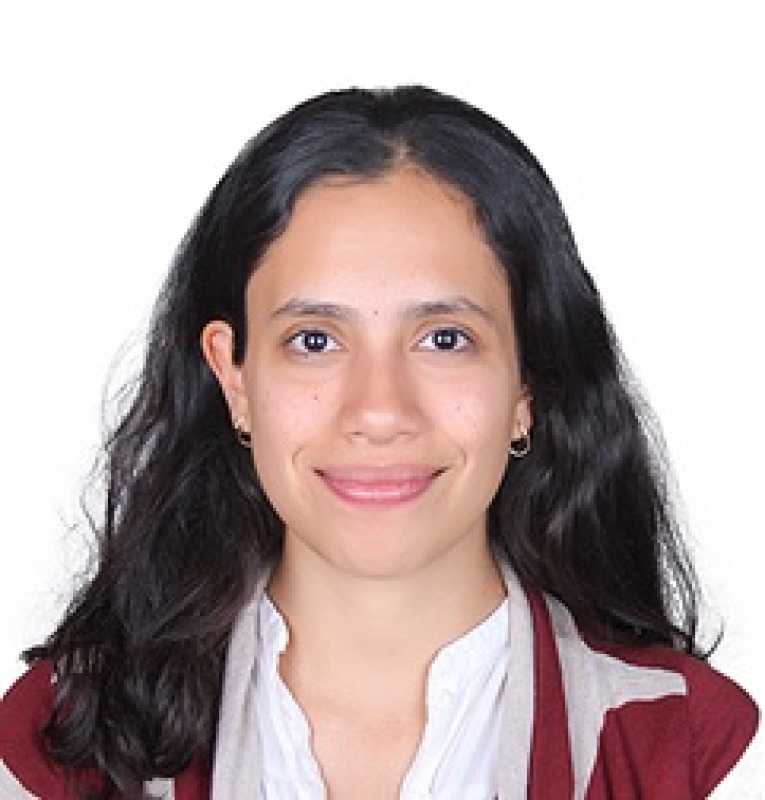 Carla Rivera Pastrana, Docente UNIR