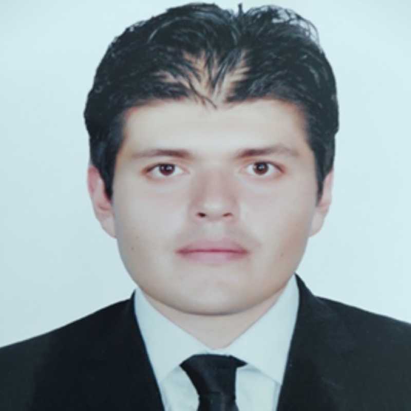 Carlos Ramiro Soria Cano, Experto Asociado