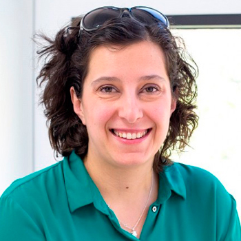 Carmen Llopis Pablos, Experta Asociada