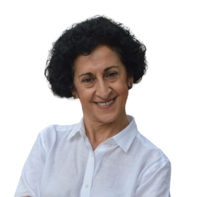 Carmen Martínez Fernández, Experta Asociada