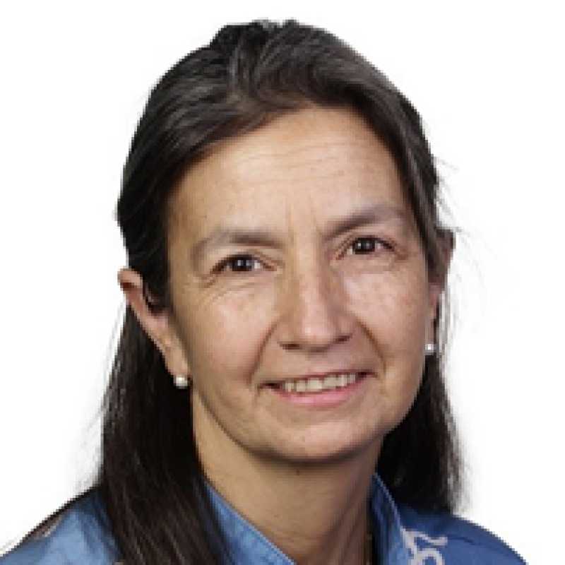 Carmen Tania Francisco Mora, Docente UNIR