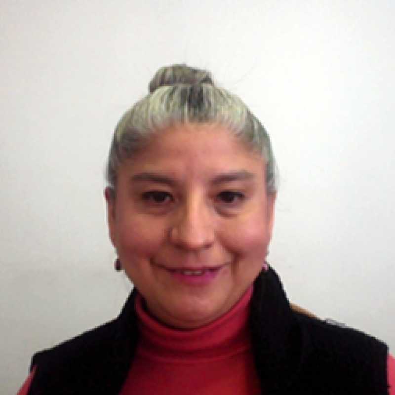 Claudia García Aranda, Docente UNIR