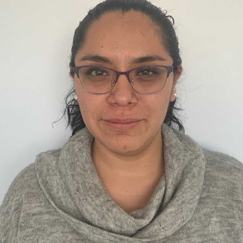 Cynthia Dennise Meza Lopez, Docente UNIR