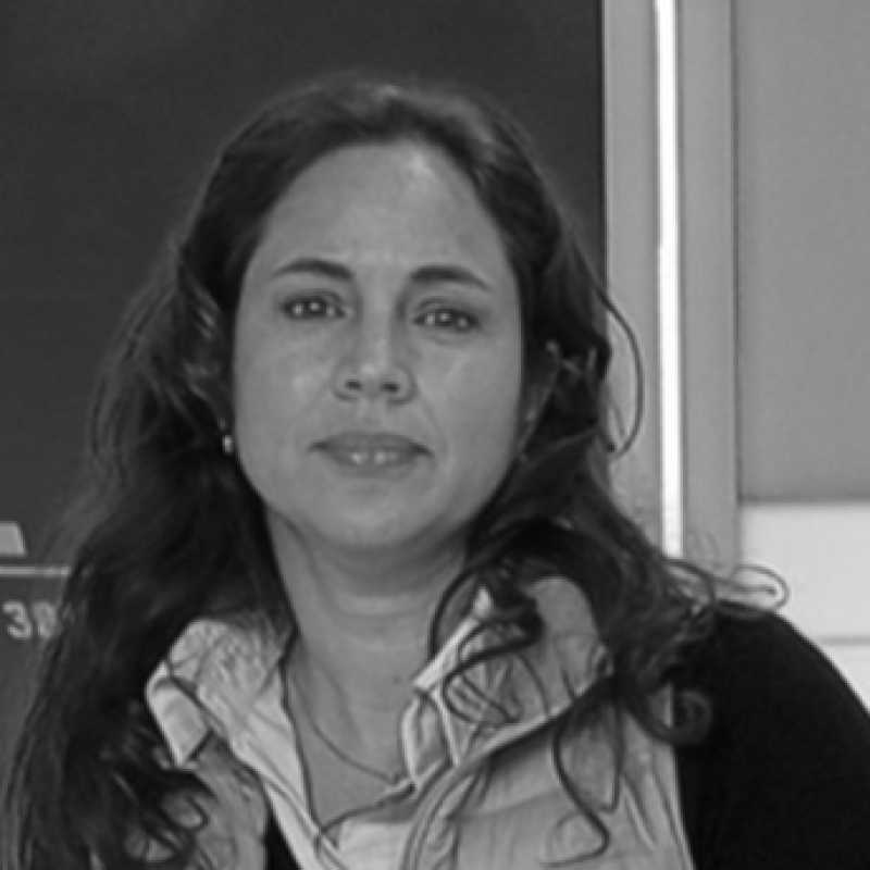 Dagmar Herrera Barreda, Docente Unir