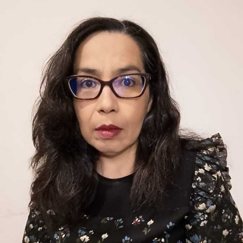 Diana Itzel Macho Morales, Docente Unir