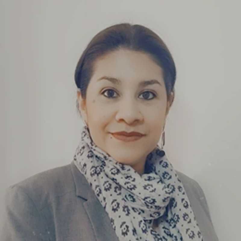 Diana Montes de Oca Cárdenas, Docente UNIR