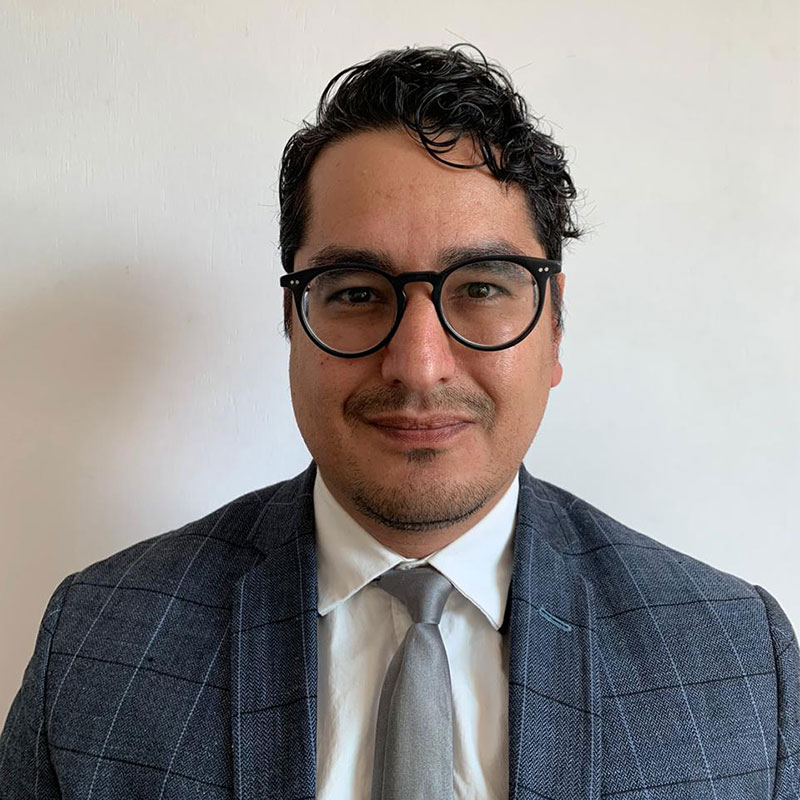 Diego Rodrigo Sosa Ortega, Docente Unir