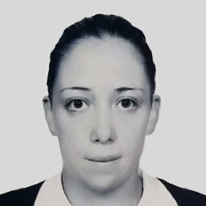 Dulce Alejandrina Galvan Camacho, Docente UNIR