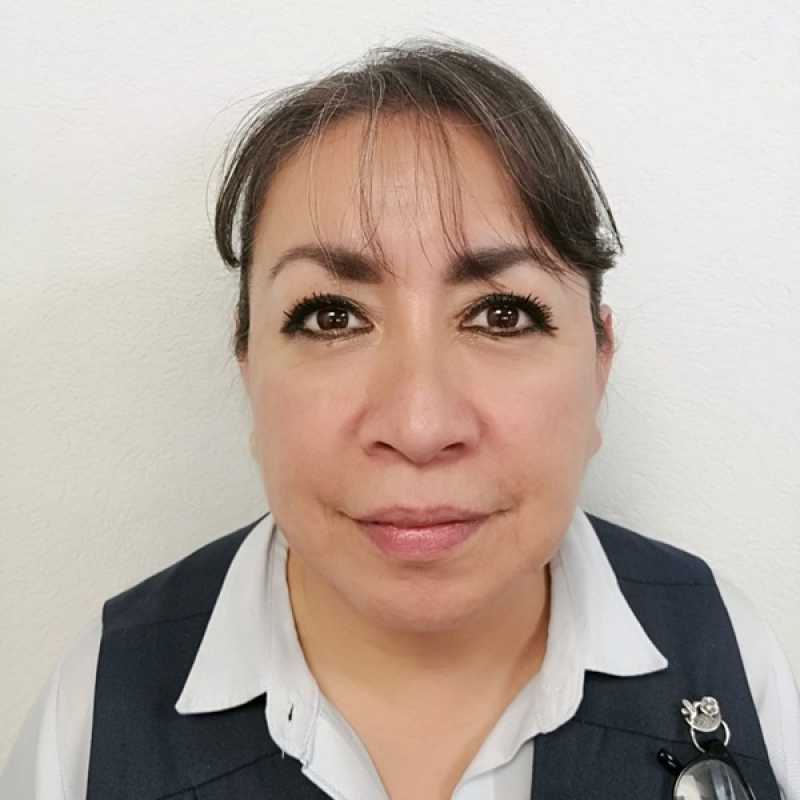 Dulce María Lozada Frías, Coordinadora académica