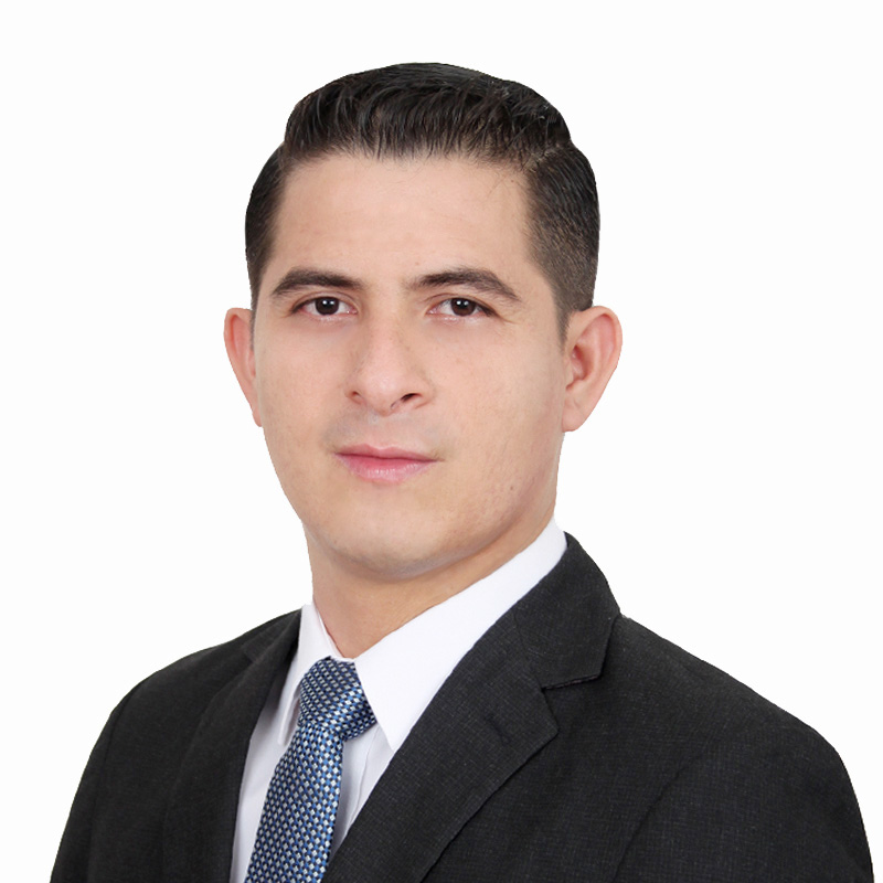 Edgar Alain Peña Alfaro, Docente UNIR