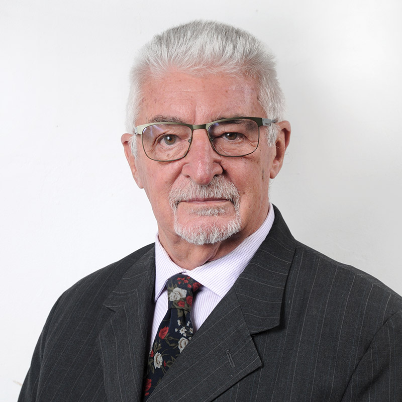 Eduardo Raúl Balbi, Docente UNIR