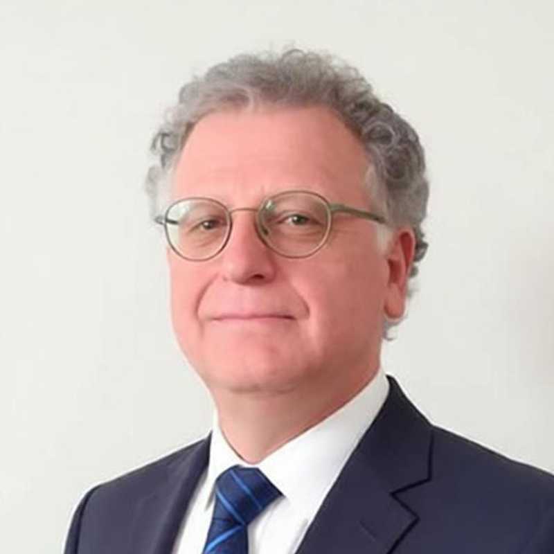 Emilio Ramos Calzón, Experto asociado