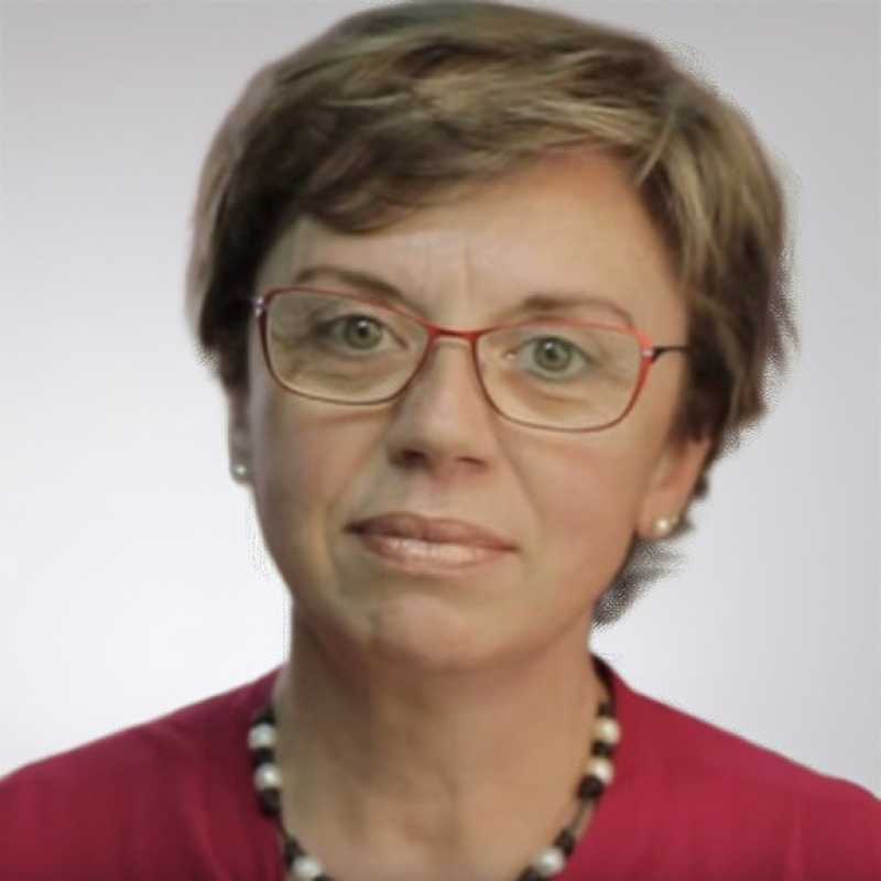 Encarnación Chica Merino, Docente UNIR