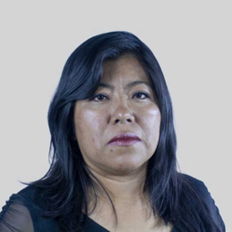Fabiola Mejía Zúñiga, Profesor