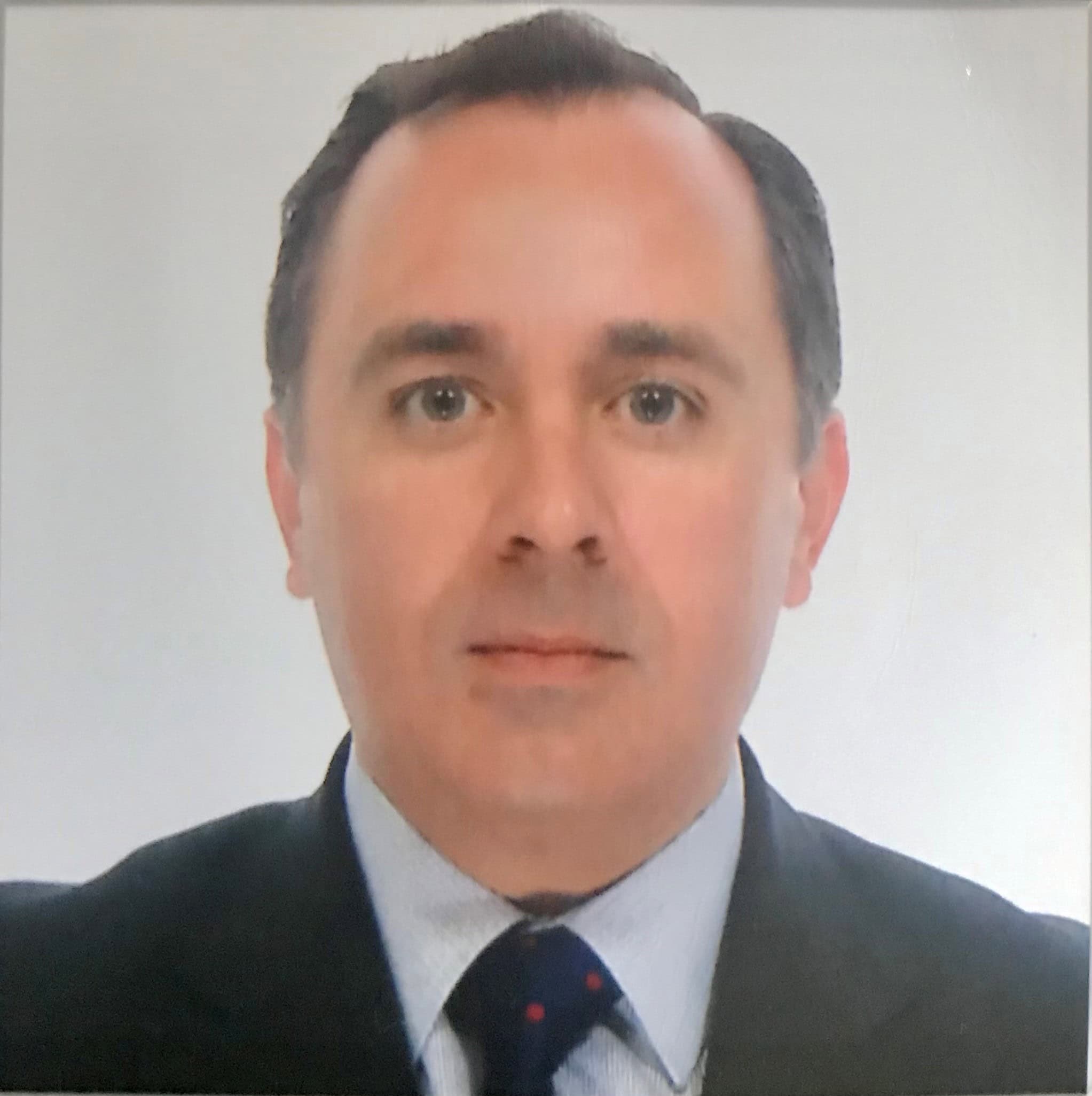 Fernando Otonín Barrera, Docente Unir