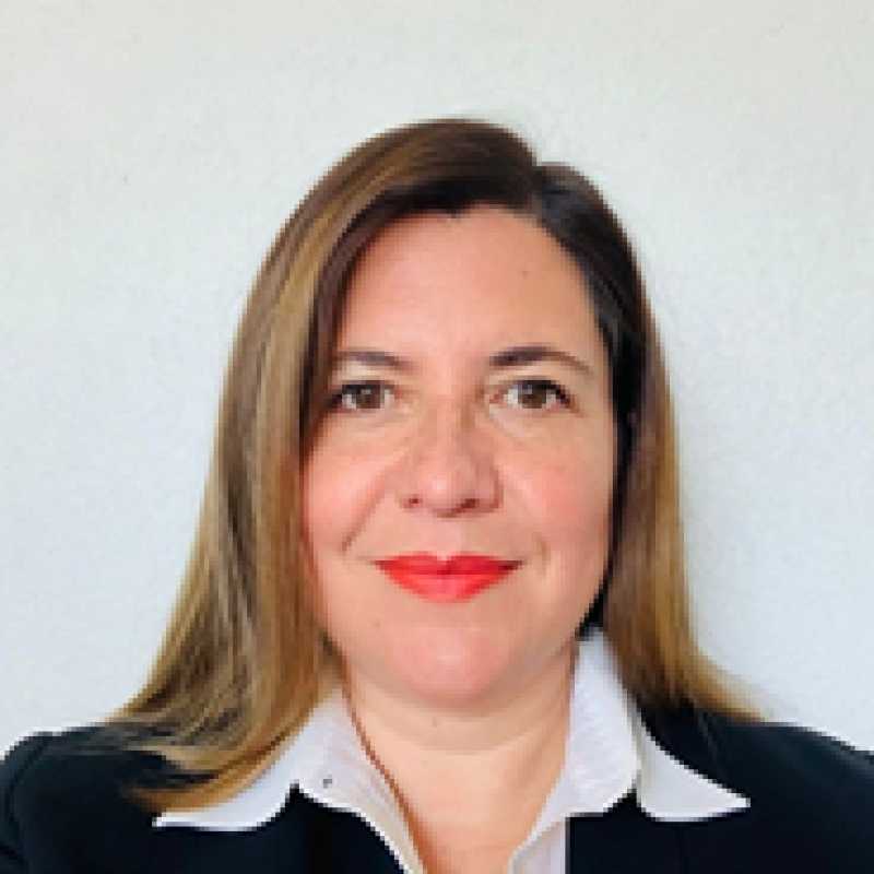 Flor Vanessa Anguiano González, Docente UNIR