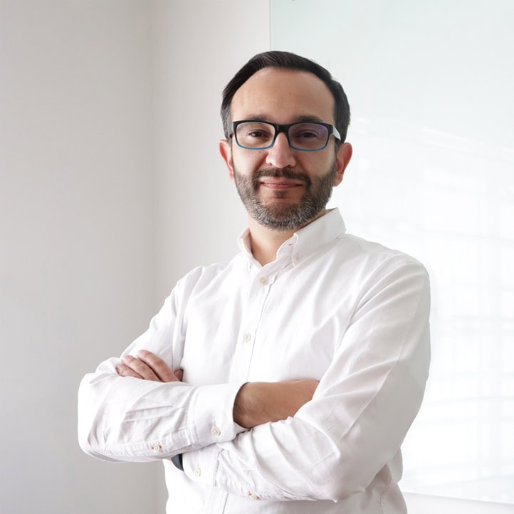 Gerardo Andrés Hernández Montes, Experto asociado