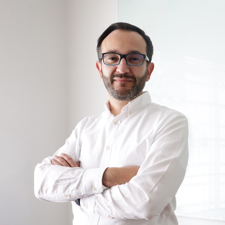 Gerardo Andrés Hernández Montes, Experto Asociado