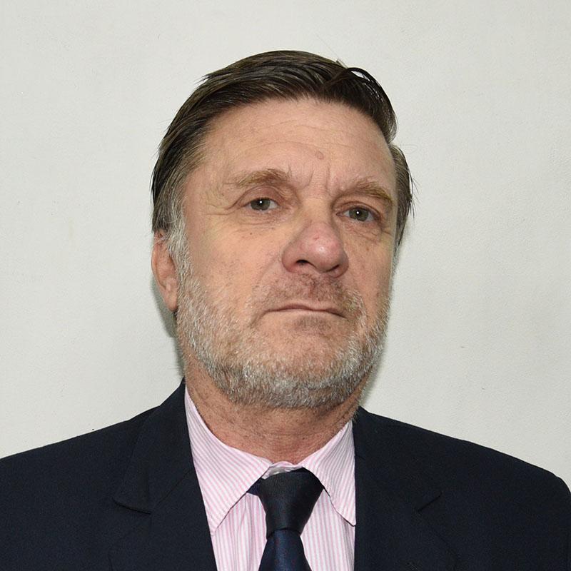 Hugo Patricio Pierri, Docente UNIR