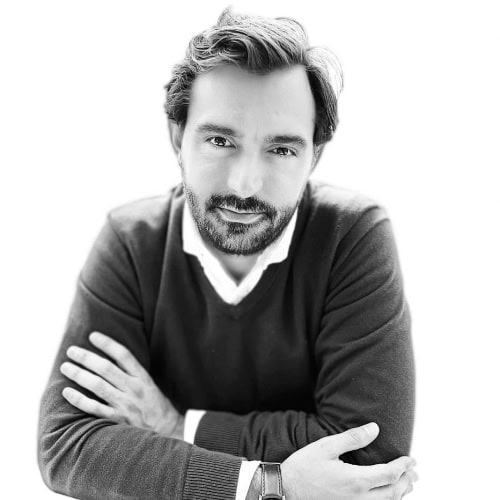 Ignacio Rincón Goya, Experto asociado