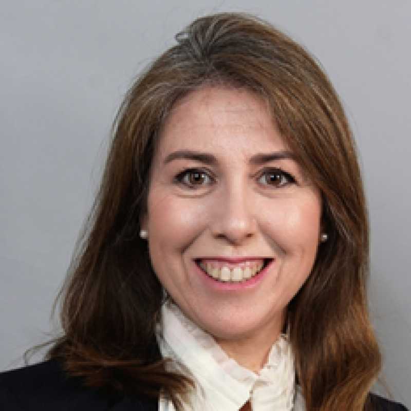 Irene Lorenzo Rego, Docente Unir
