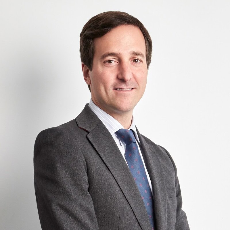 Javier Sáenz de Cenzano, Docente UNIR