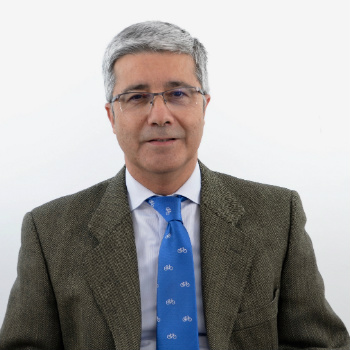 José Antonio Díez Fernández, Docente Unir