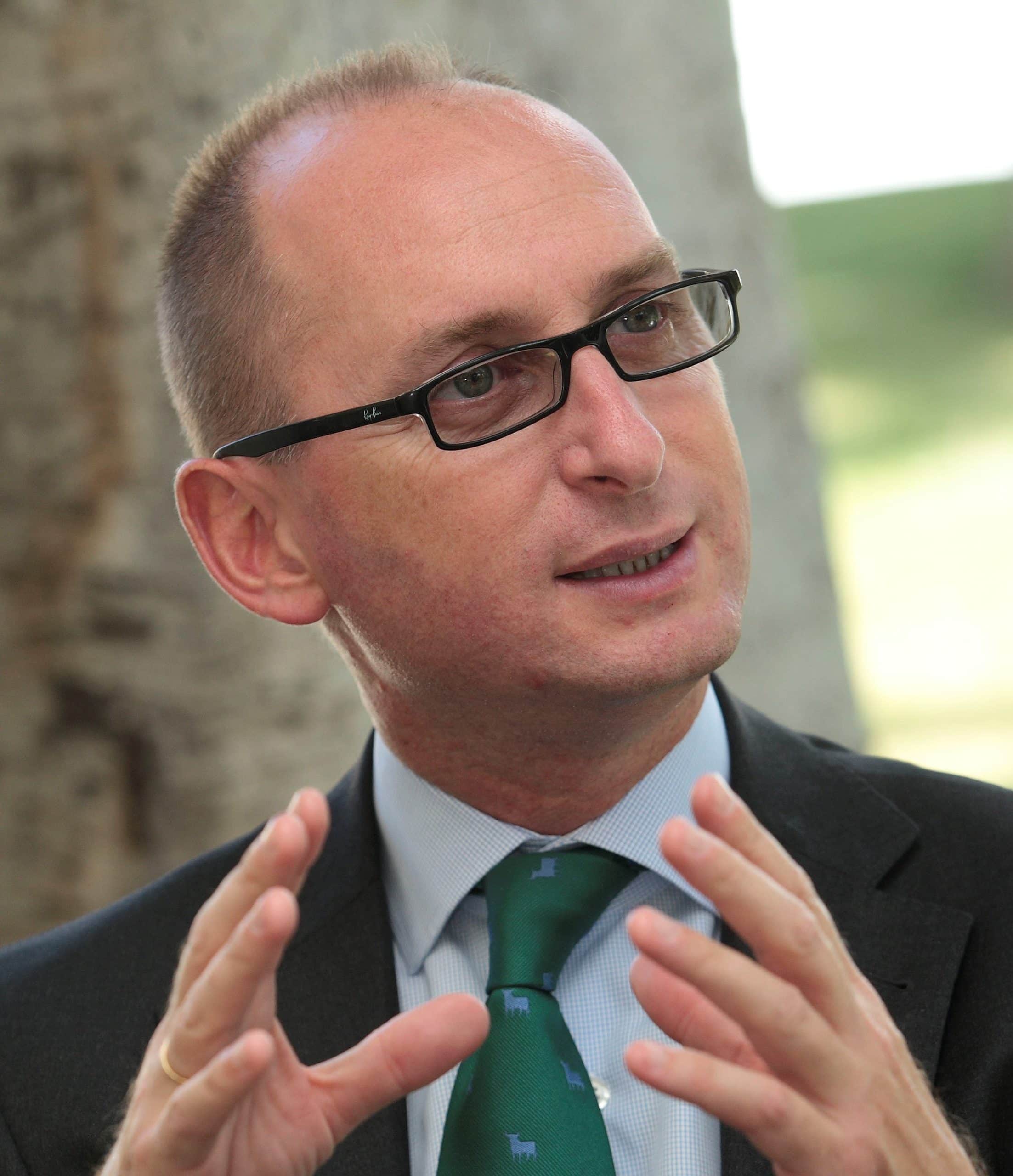 José Luis Jiménez Fajardo, Docente UNIR