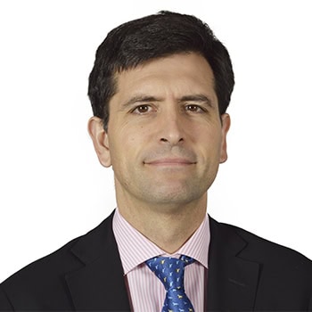 Josu Ahedo Ruiz, Director académico