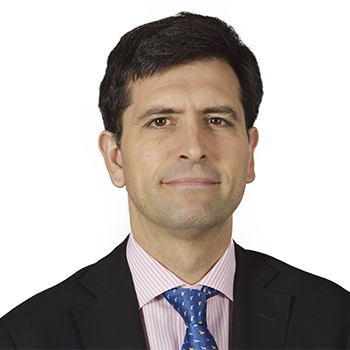 Josu Ahedo Ruiz, Director académico