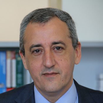 Juan Cabrera Revuelta, Docente UNIR