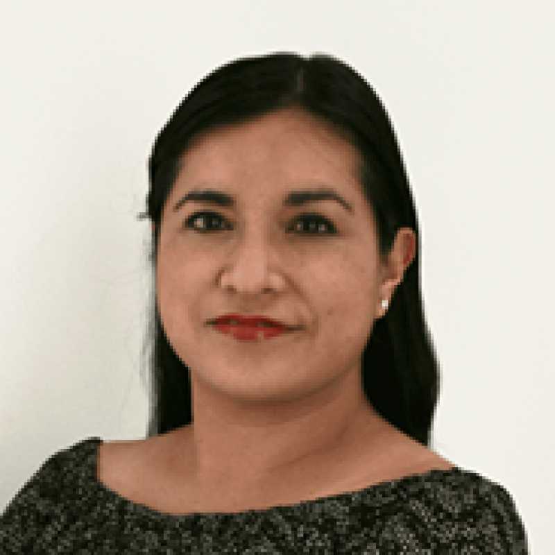 Kristell Daniella Franco Sánchez, Coordinadora académica