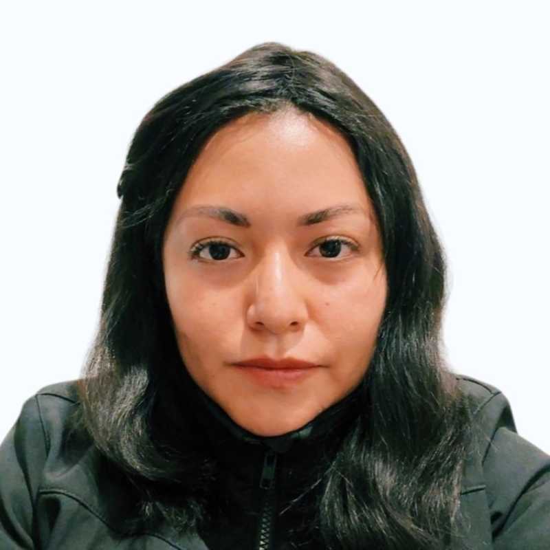 Liliana Deyanira González Viveros, Docente Unir