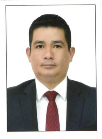 Luis Enrique Chávez Flores, Docente UNIR