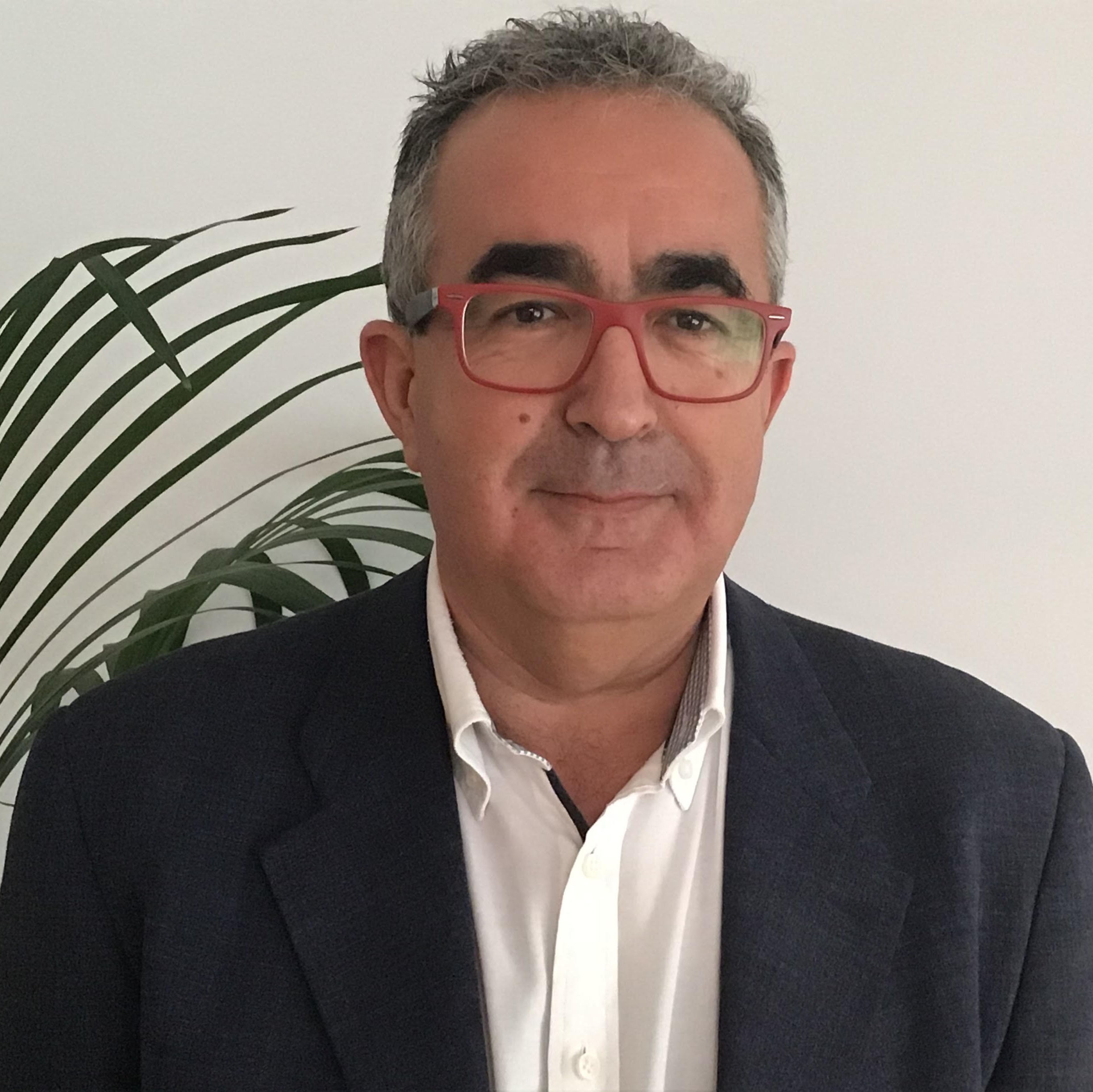 Manuel Colmenero Larriba, Docente UNIR