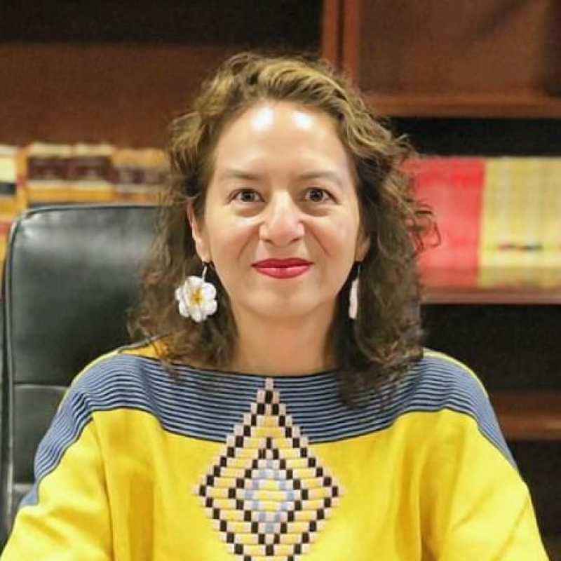 María del Carmen Nava Polina